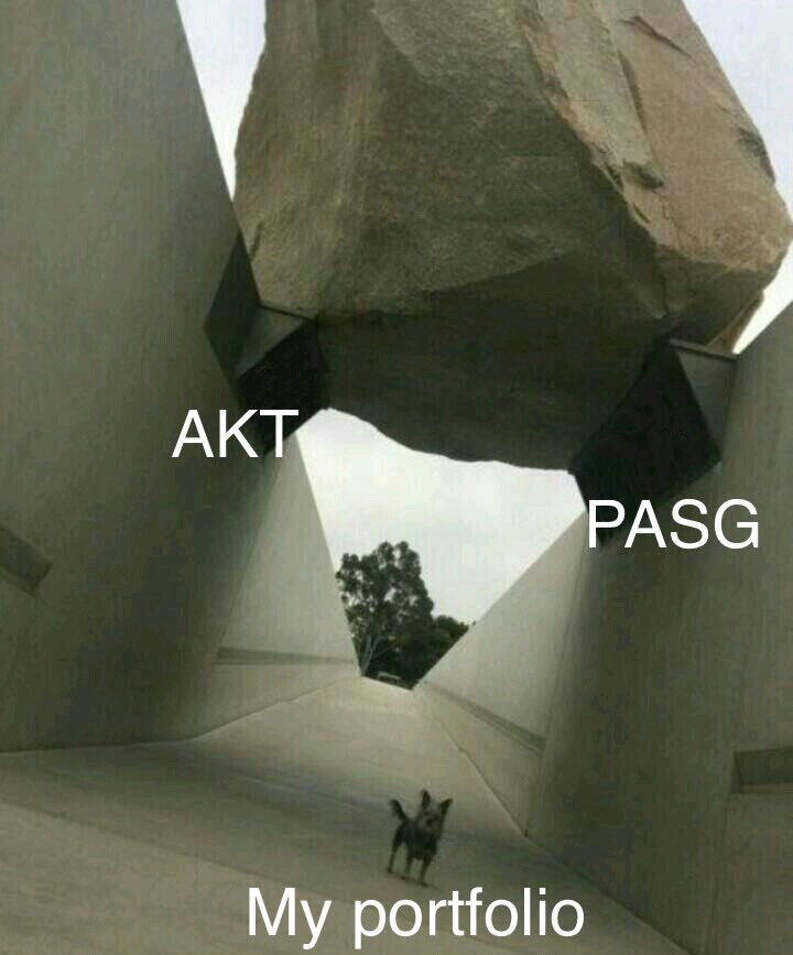 $AKT and $PASG saving the day 🙌