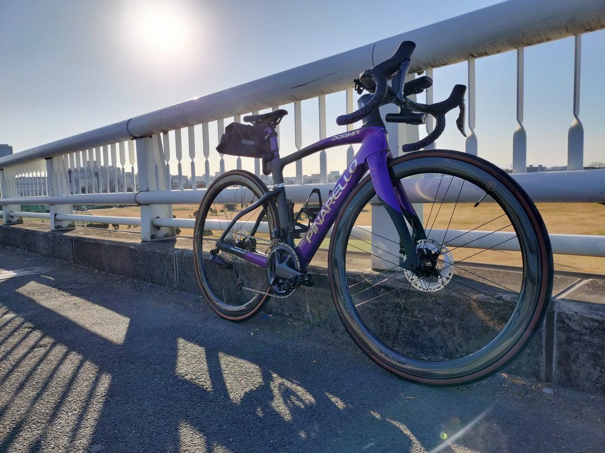 🚲☀それいゆ🌻3時30分起床⏰22時就寝😴 tweet media