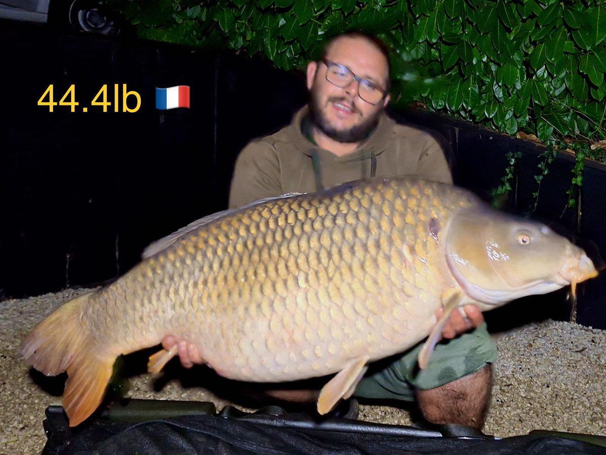 Galaxy Baits tweet media