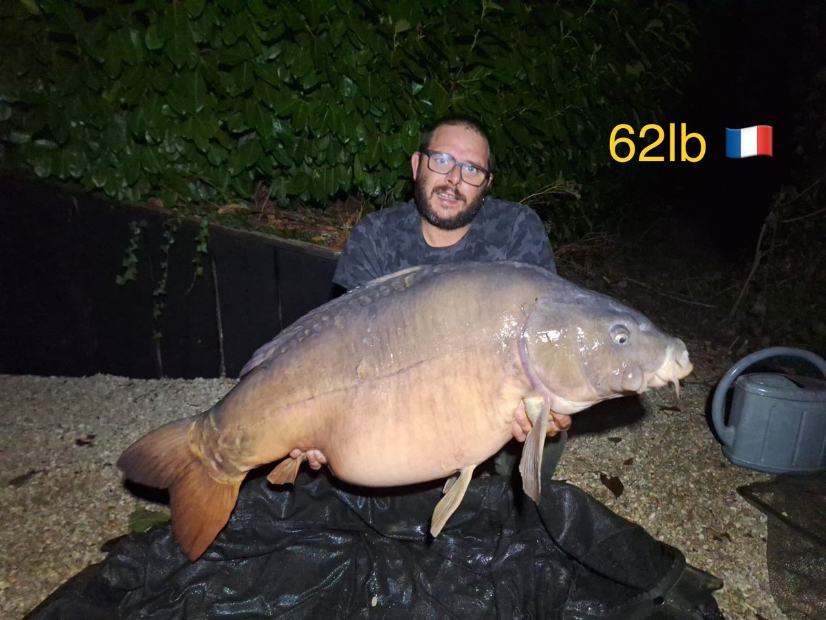 Galaxy Baits tweet media