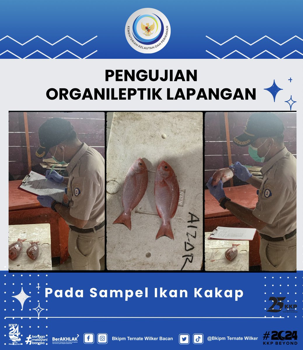 06/01/24 Giat Pengujian Organoleptik Lapangan pada Sampel ikan Kakap Segar #KKPThrive <a href="/kkpgoid/">KKP RI</a> @bkipm_kkp @BKIPMTernate <a href="/arsal_azis/">A r s a l</a> @Ambodallemardia <a href="/UHardianto/">unggul hardianto</a> <a href="/Naidil_yahya28/">Naidil_yahya ( DhilastBorju)</a> <a href="/AliNazarudin/">Nazarudin ALI</a>