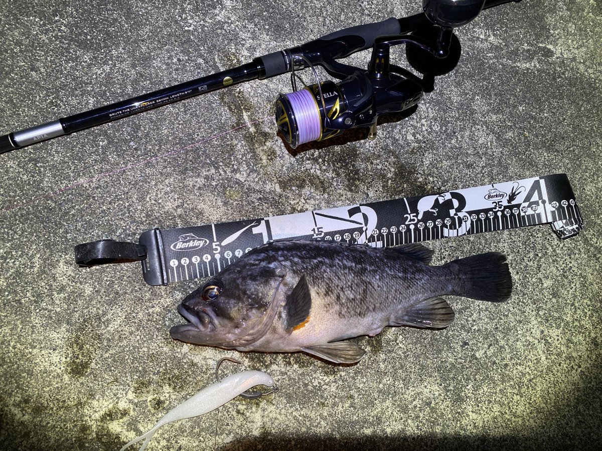 nakano_dc2's tweet photo. 今年の初釣り35クロソイでスタート🐟 https://t.co/ZSmaslcbuo