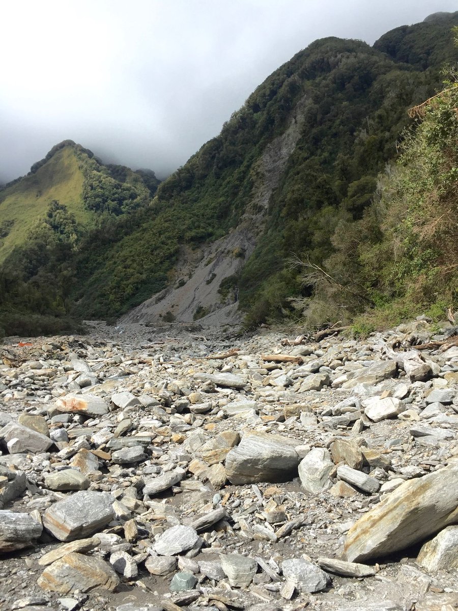 A perfect landslide! Photo taken in western Southern Alps, New Zealand <a href="/BSG_Geomorph/">BSG Geomorphology</a> #BSGPC23