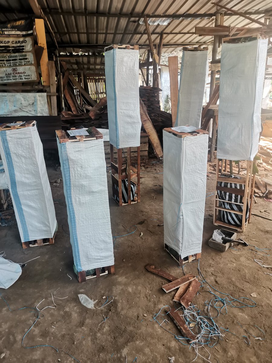 bib new edition tweet media