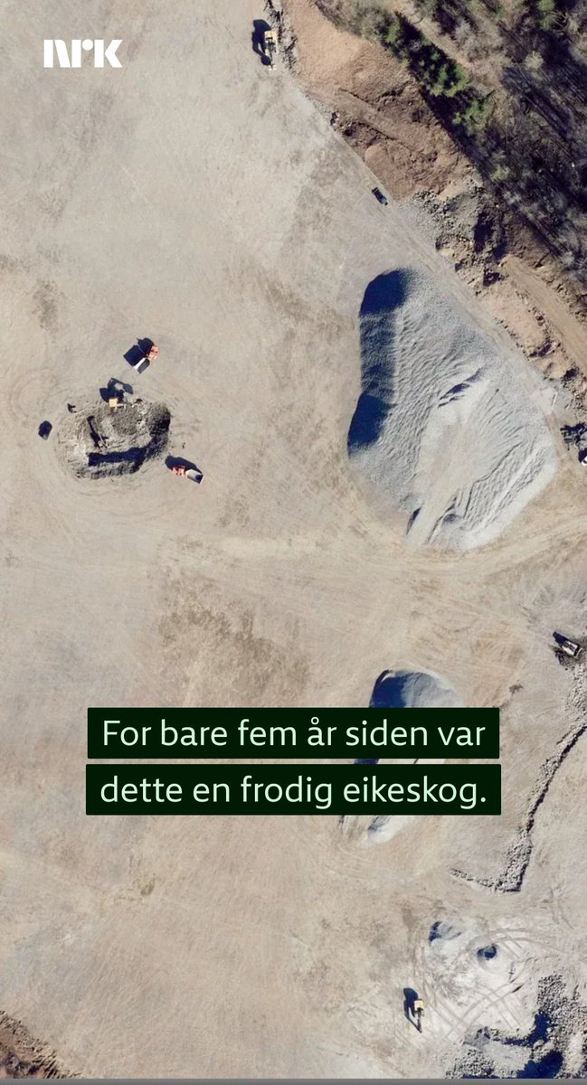 Per-Erik Schulze tweet media