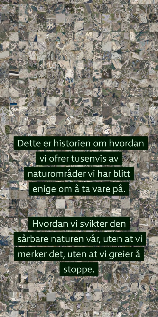 Per-Erik Schulze tweet media