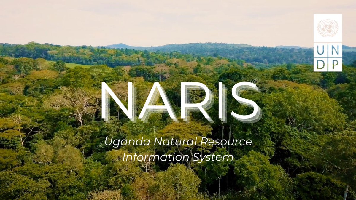 Elsie Attafuah tweet media