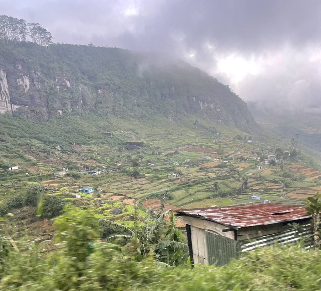 Some great examples of terraced farming in Sri Lanka. But let’s hope we don’t need to start growing rice at home yet! ☔️