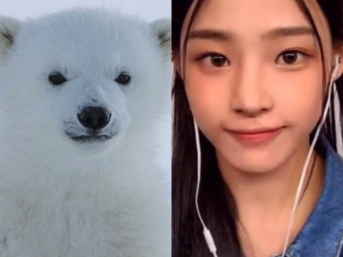 minjibearlufer's tweet photo. #WeLoveYouMinji 
#곰아지_민지에게 
#ADORPROTECTMINJI 
My dear babe bear minji🧸, I hope you are not upset,our minji is the best and smartest bear in the world.Minji always gives us support and love,we will always love you and protect you，too.LUVU MINJI🫶🏻 https://t.co/SWrqQrI3Ar