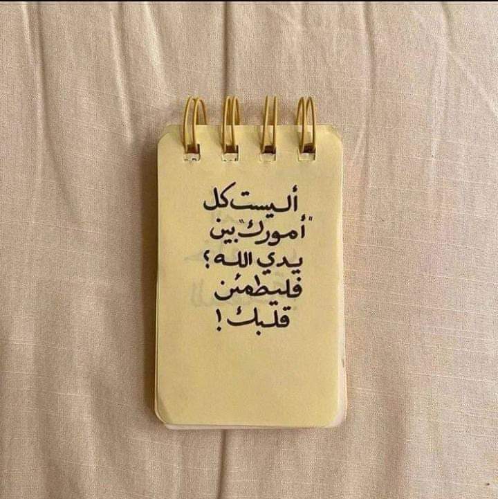 raneem (@raneem_abs) on Twitter photo 