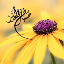 من أشجع القرارات التي تتخذها في حياتك هي أن تتخلى نهائياً عن كل ما يؤذي روحك وقلبك وتفكيرك.!

#صباح_الاجواء_الحلوه