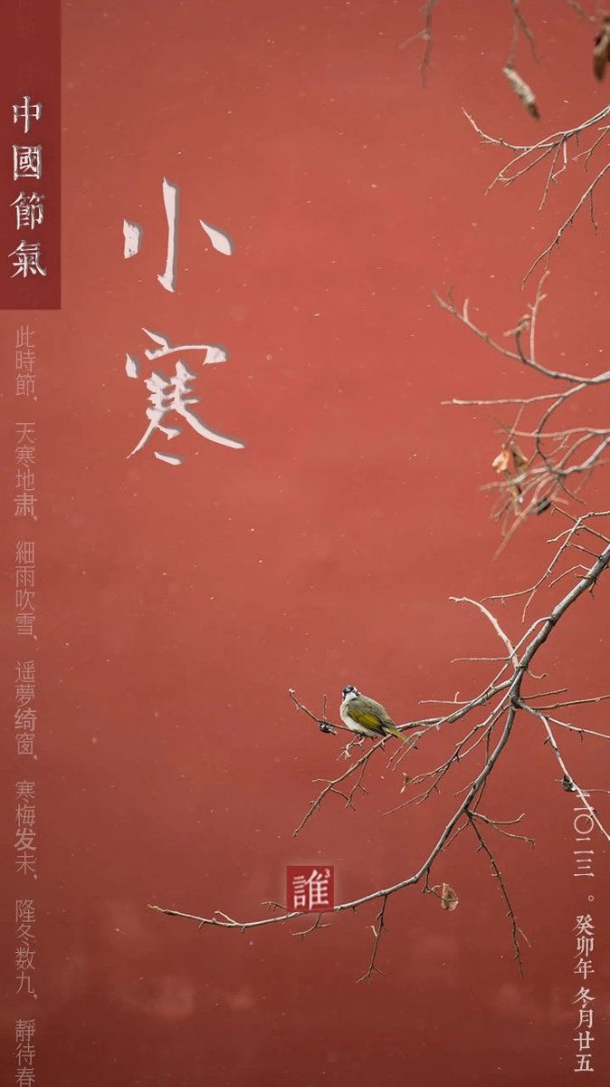 Jimmymi2's tweet image. Slight cold