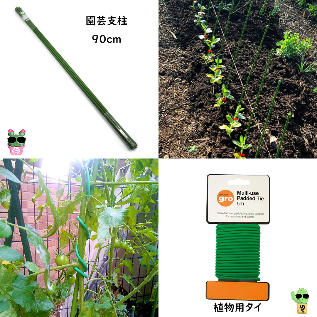 growstorejp's tweet photo. ✨園芸用品続々入荷🌳エアープルーニングポット🌿プラントサポート用品🌴ガーデン用品🌱クローンドーム
https://t.co/lDyZPUzoho
 #growstore #グロウストア #恵比寿 #園芸 #オーガニック #有機栽培 #園芸店 #園芸初心者 #園芸店巡り #園芸用品 #園芸ショップ #農業 #肥料 #活力剤 #家庭菜園 https://t.co/gwgjuikPV5