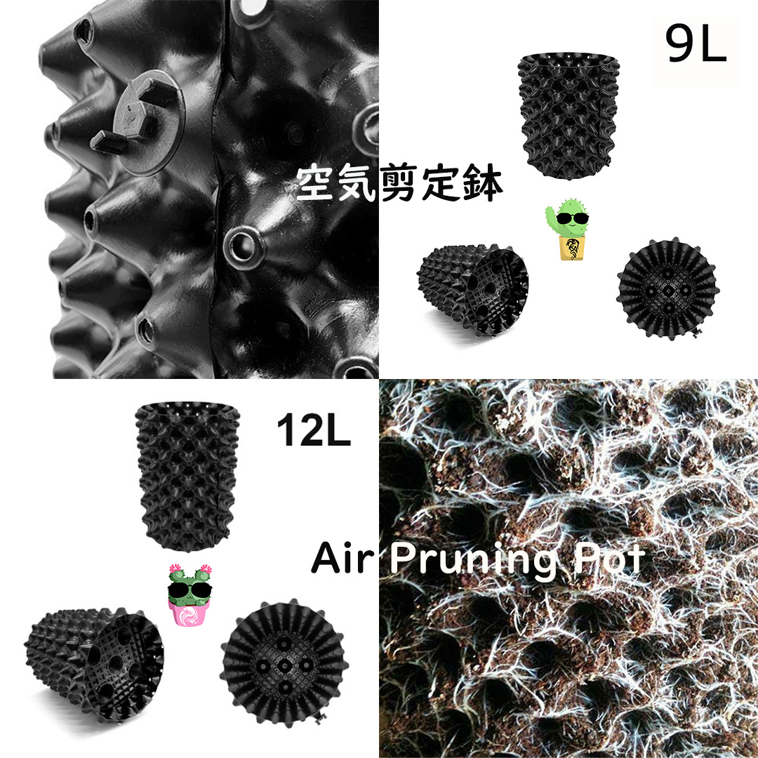 growstorejp's tweet photo. ✨園芸用品続々入荷🌳エアープルーニングポット🌿プラントサポート用品🌴ガーデン用品🌱クローンドーム
https://t.co/lDyZPUzoho
 #growstore #グロウストア #恵比寿 #園芸 #オーガニック #有機栽培 #園芸店 #園芸初心者 #園芸店巡り #園芸用品 #園芸ショップ #農業 #肥料 #活力剤 #家庭菜園 https://t.co/gwgjuikPV5