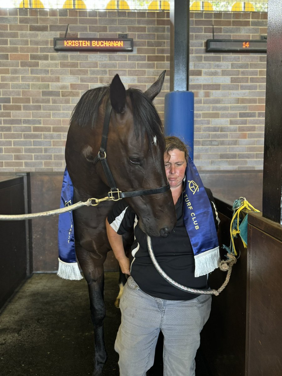 Kristen Buchanan (@kbuchananracing) on Twitter photo Beautiful Delexo finally got his midway today <a href="/aus_turf_club/">Australian Turf Club</a> Headquarters
Big thanks to my entire team and to <a href="/KPMcEvoy/">Kerrin McEvoy</a> for a ripper ride, also to <a href="/WyongRaceClub/">Wyong Race Club</a> for being so supportive. Well done to awesome partners Conway and Christina xx Beautiful Delexo finally got his midway today <a href="/aus_turf_club/">Australian Turf Club</a> Headquarters
Big thanks to my entire team and to <a href="/KPMcEvoy/">Kerrin McEvoy</a> for a ripper ride, also to <a href="/WyongRaceClub/">Wyong Race Club</a> for being so supportive. Well done to awesome partners Conway and Christina xx