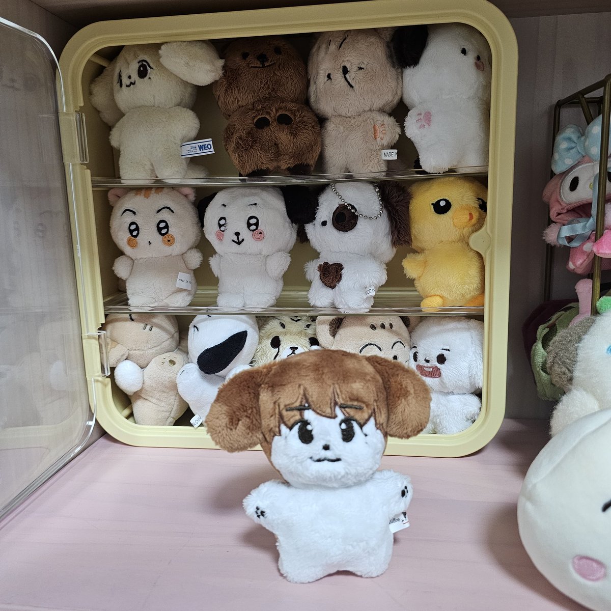 eking_1021's tweet photo. 아 슬퍼
울 집 왓는데 들어갈 자리가 없어 날 쳐다보는 쩡먕 https://t.co/LSAHqhvadj
