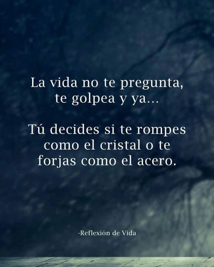 VidaEquilibrad4's tweet image. 