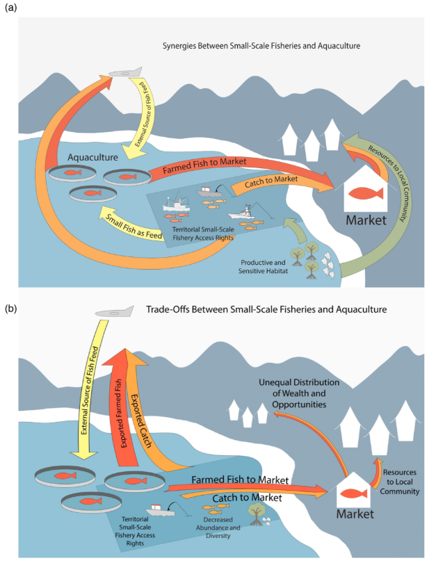 nature.com/articles/s4418… Check out this new paper "Anticipating trade-offs and promoting synergies between small-scale fisheries and aquaculture to improve social, economic, and ecological outcomes" by  Elizabeth J. Mansfield and colleagues