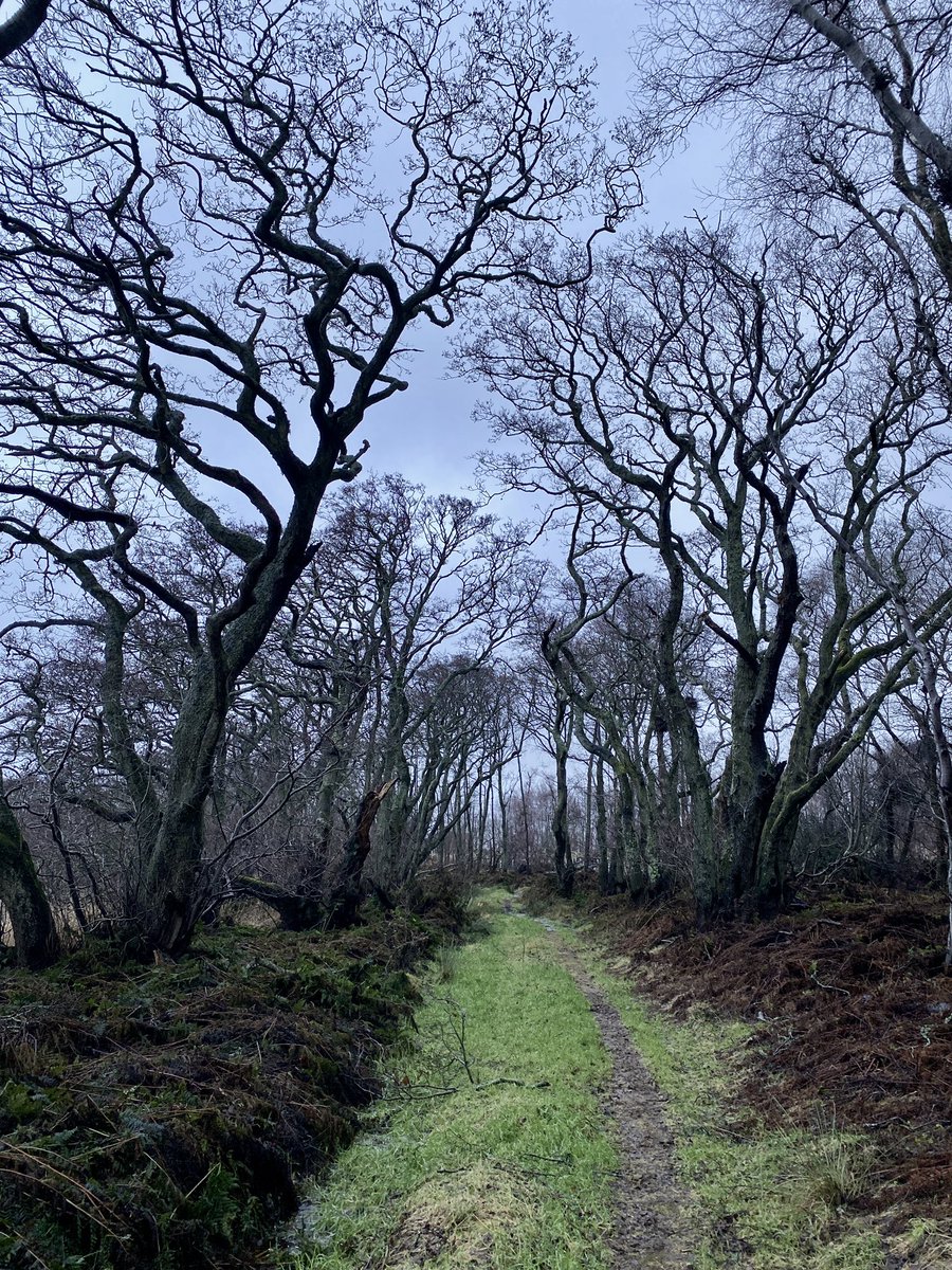 AilishSinclair's tweet photo. Strolling into the weekend… #SaturdayMood https://t.co/vkmbN2DFoC