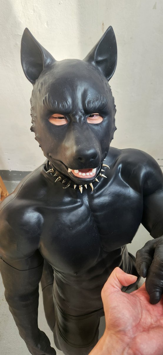 乳胶狗狗的邀请