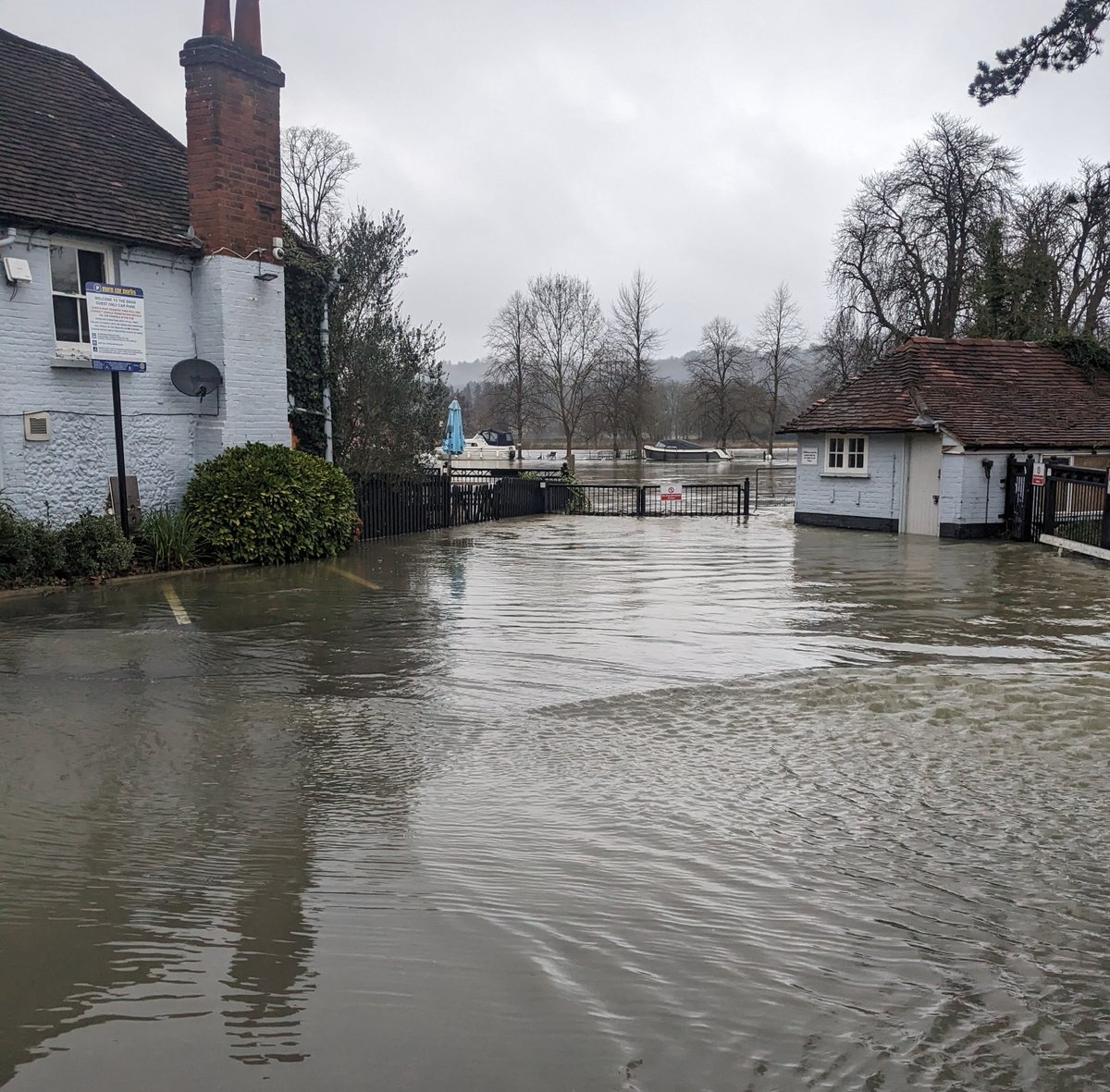 Swanpangbourne's tweet image. With a heavy heart we have to inform you we are closed due to flooding 😔 sadly we lost the battle during the night 😭 we hope to see you soon 🙏#pangbourne #flood #riverthames #mothernature #river #sadtimes