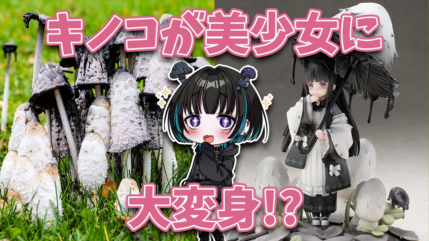 奇ノ駒たんご🖤🍄スペシャルきのこマイスター&日本きのこマイ 奇ノ駒たんご🖤🍄スペシャルきのこマイスター&日本きのこマイ