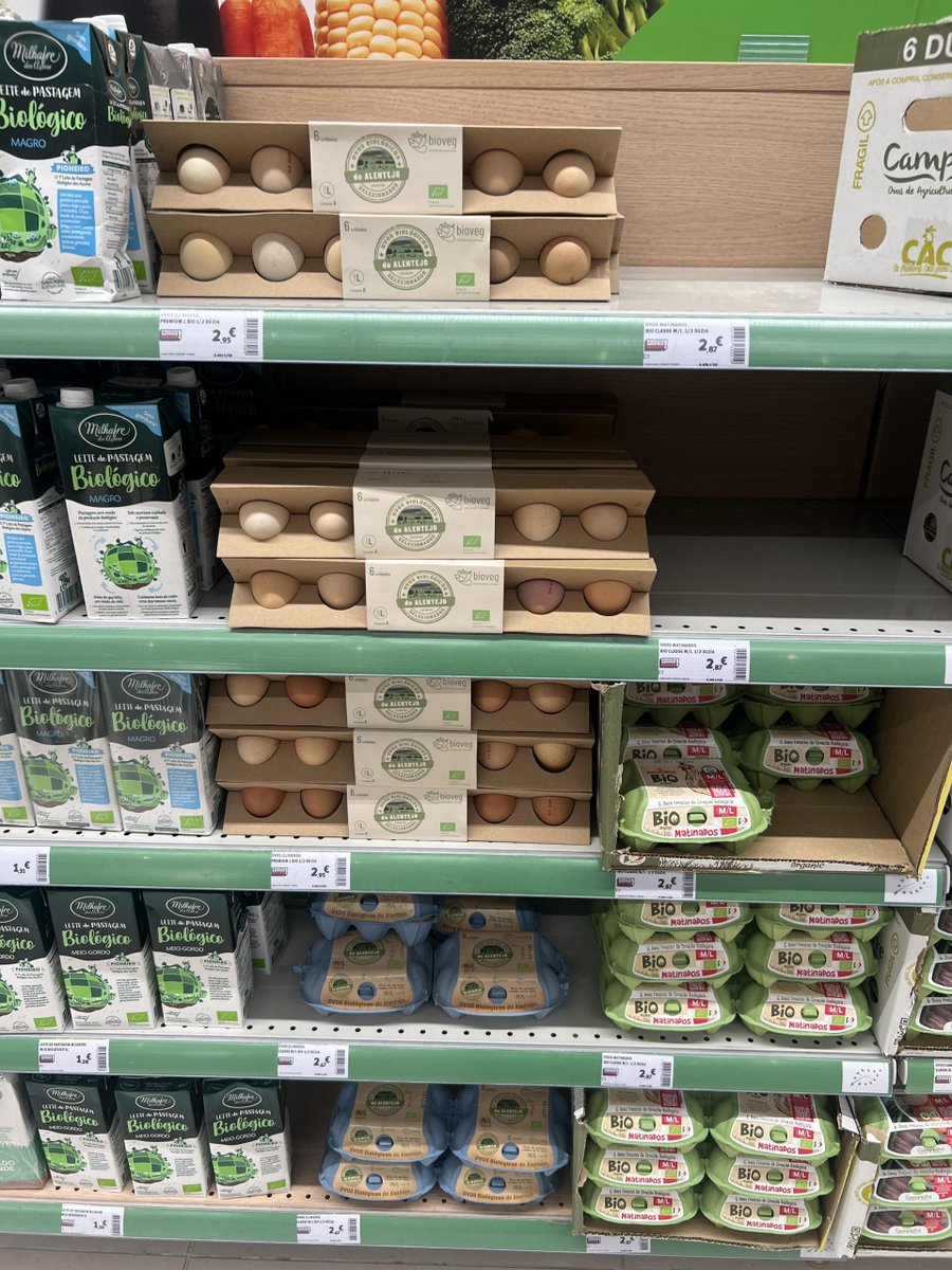 NordischePost's tweet photo. Heute habe ich diesen alternativen, neu interpretierten Eierkarton in einem Geschäft entdeckt. 
https://t.co/FmShBSlqwF
#alternativ #Design #Eierkarton #entdeckt #Funktionalität #Geschäft #gesehen #neuinterpretiert #Neuartiger #trifft #Design https://t.co/q5MglazEVZ