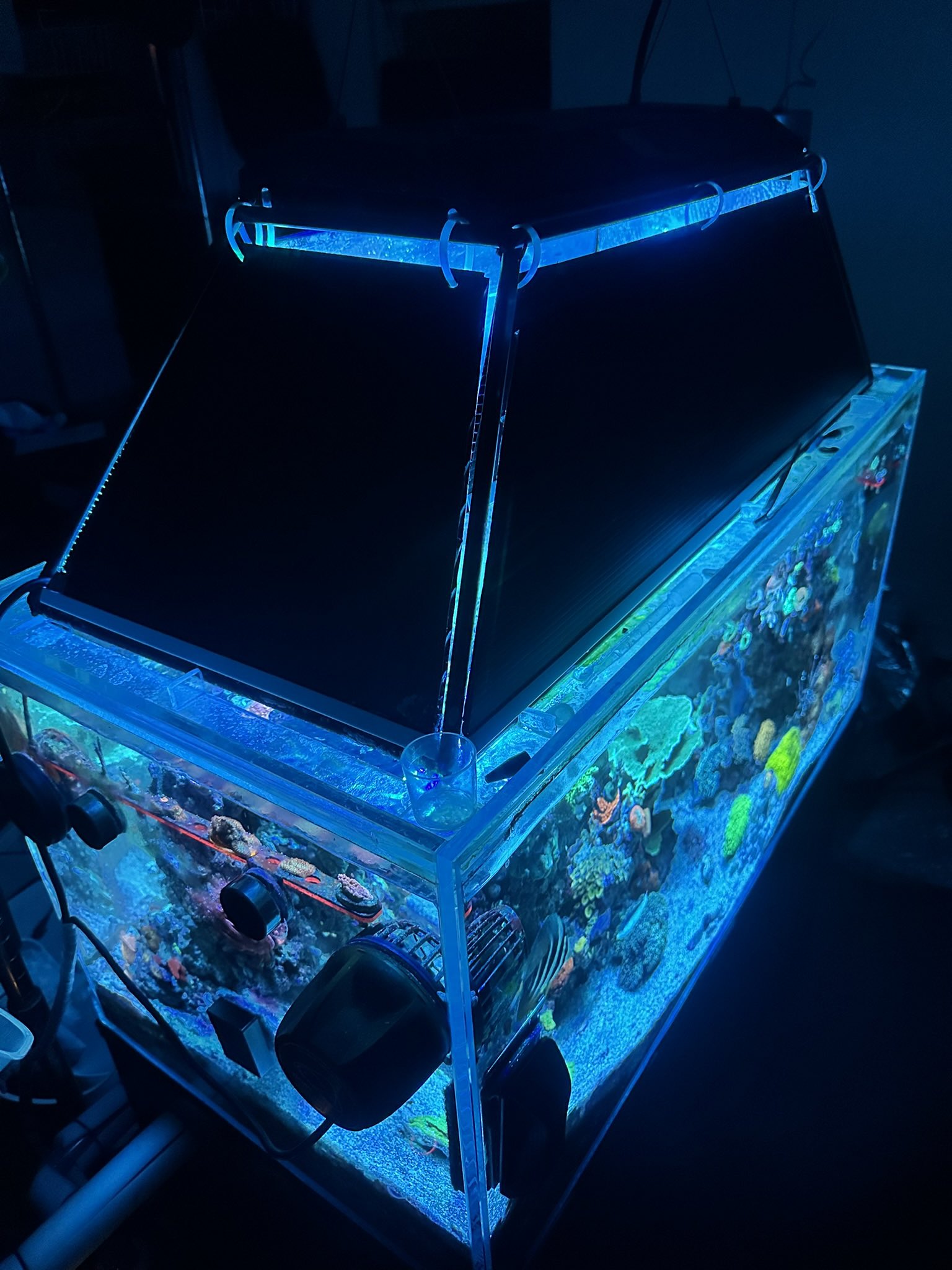 GAN@弍式奴魚李混 (@gan39019) / X