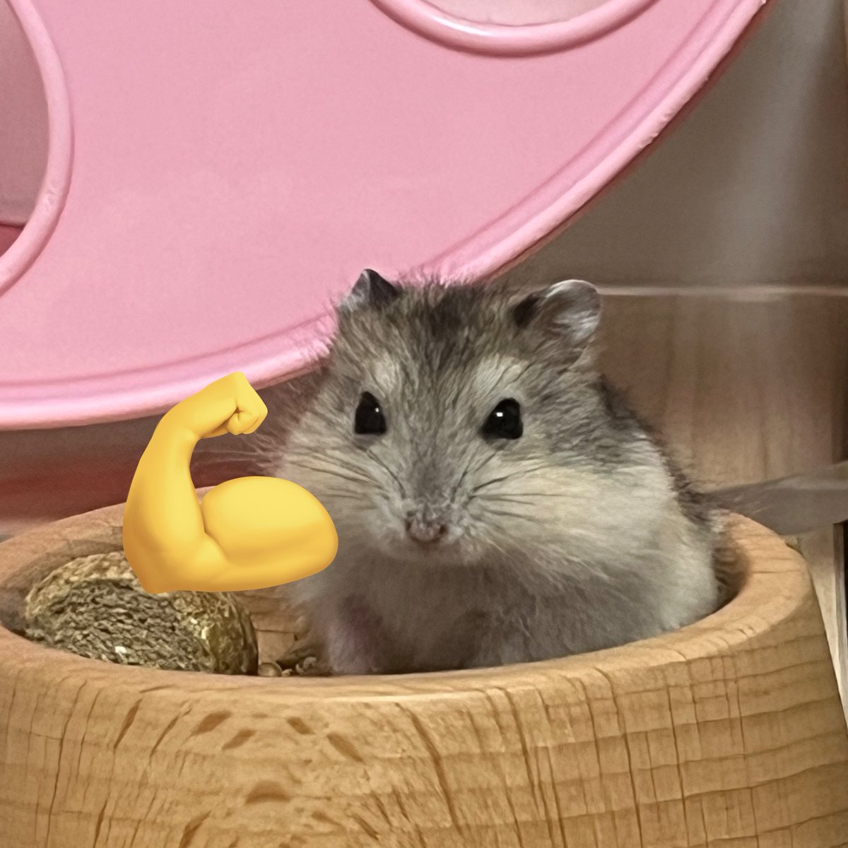 🥭망고🥭 tweet media