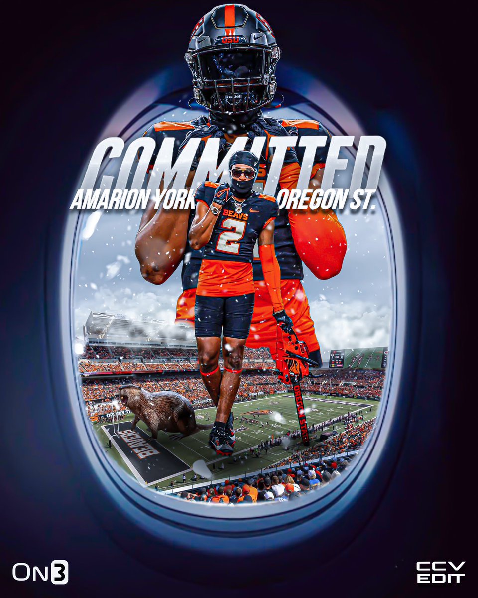 CCV.JPEG tweet media