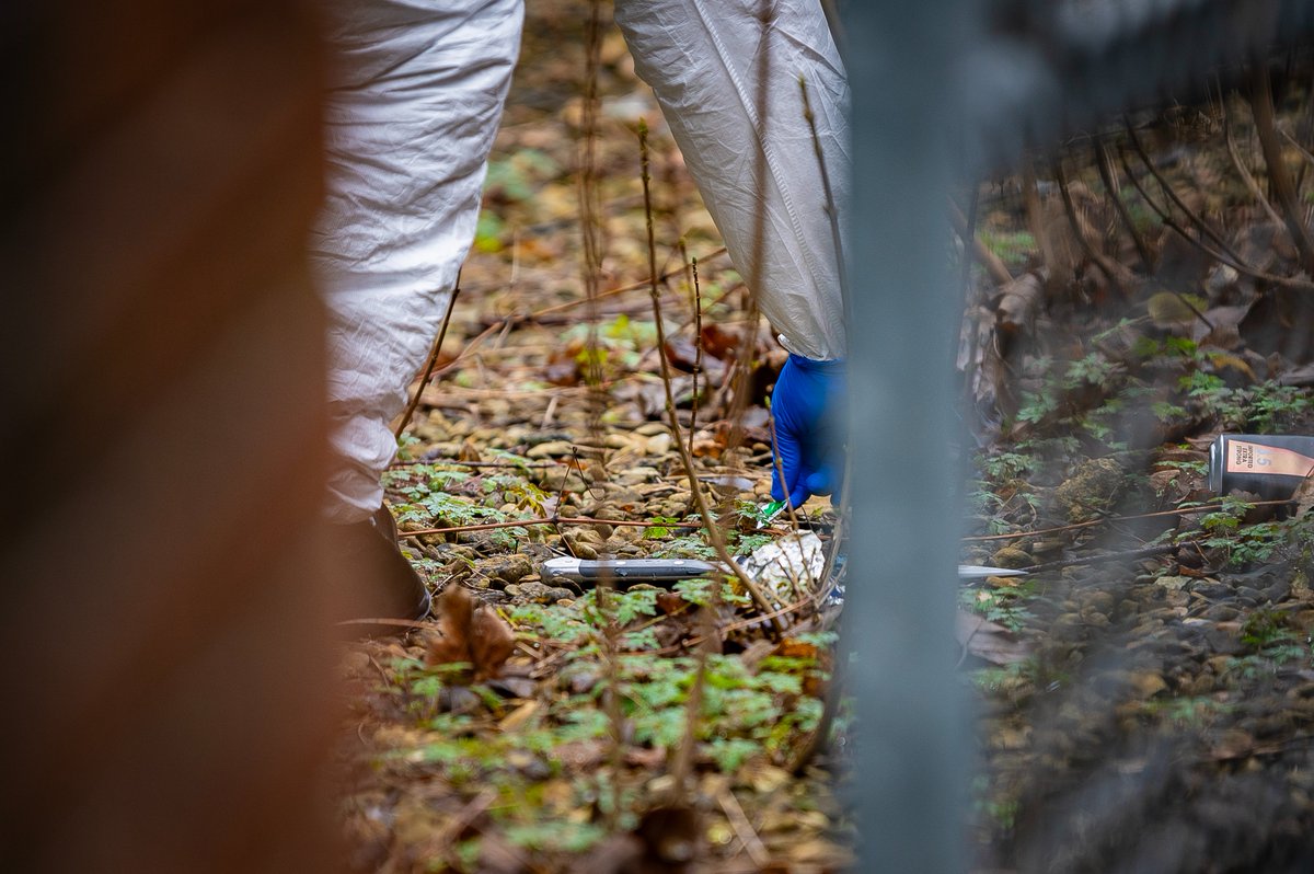 DanielJaeWebb's tweet image. Teamwork by @phil_creighton and I on Thursday evening and Friday morning uncovered a huge but tragic story in #Pangbourne, near Reading. A railway fatality turned into much more... a woman, 56, was stabbed to death by an 18-year-old man - the prime suspect who was later killed by…