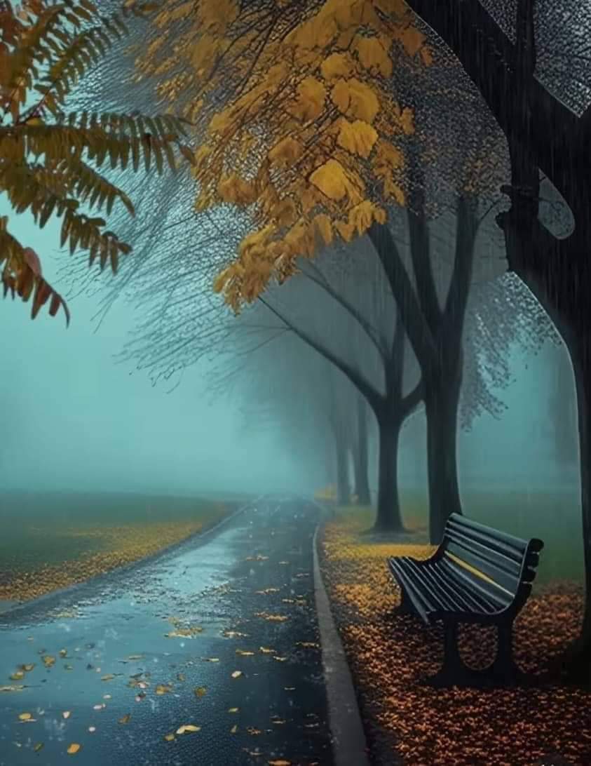 Wishing you a beautiful and a 
Peaceful Saturday 🍂🌿💛 🩵