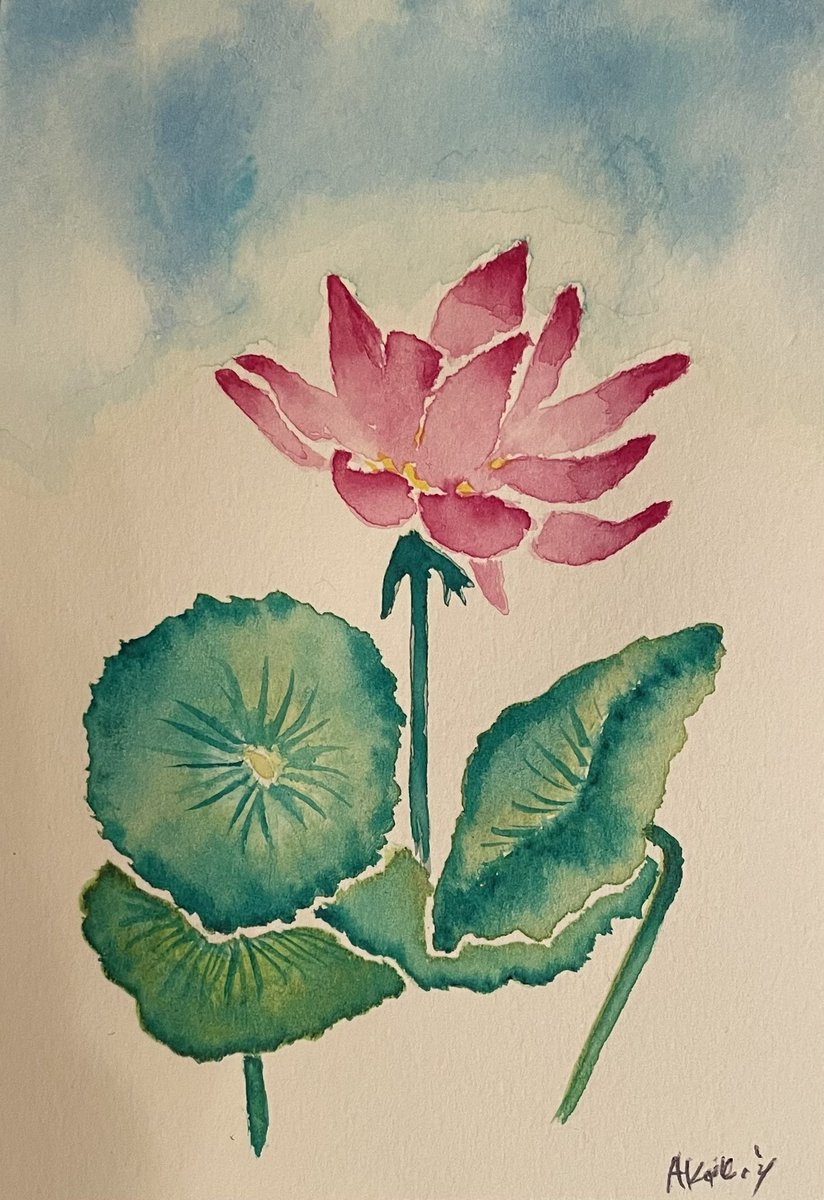 蓮の花🪷: 透明水彩
🪷は泥水を吸い泥水の中から
想像以上の美しい花を咲かせます
#透明水彩 #蓮の花 #lotusflower #lotus #watercolor #watercolour #akikoiwahara