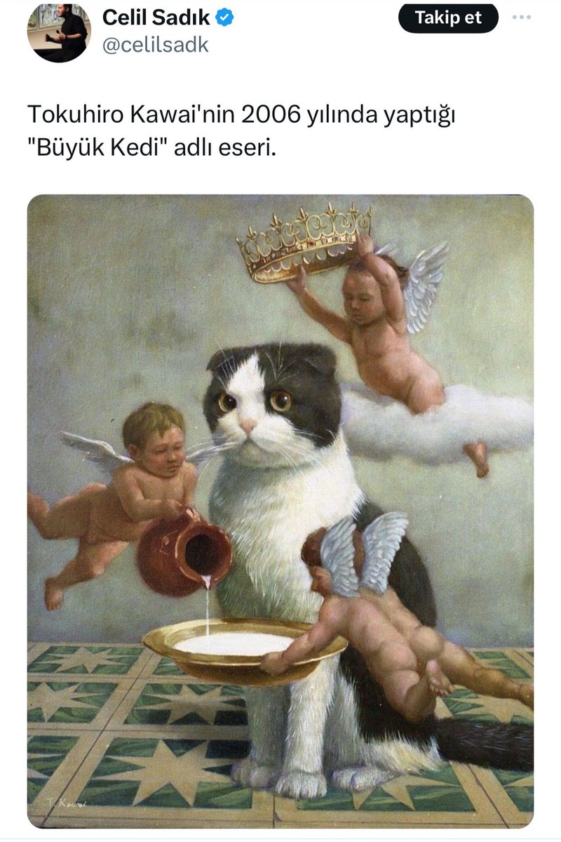 😼