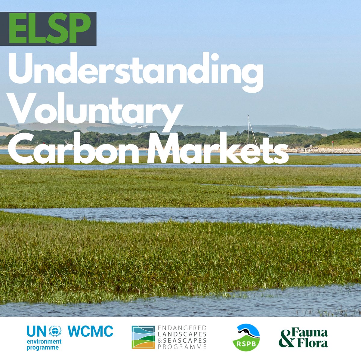 UNEP-WCMC hosted an @EndangeredLands workshop bringing together diverse experts working on nature restoration and carbon markets in Europe 🇪🇺 Here we share their insights into how restoration practitioners can navigate carbon markets ➡ tinyurl.com/3kk943jb