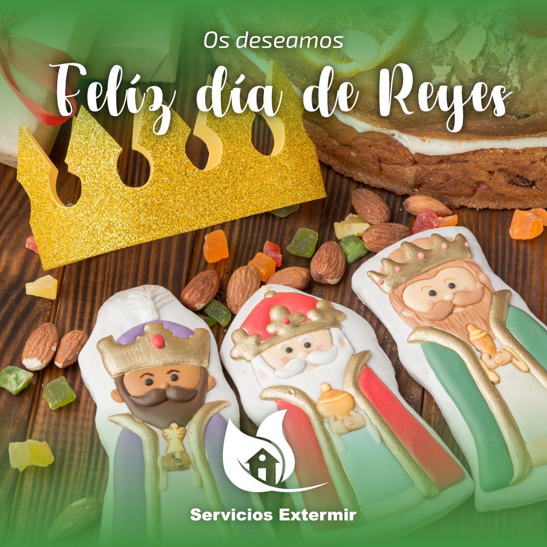 SExtermir's tweet image. ¡Feliz día de los Reyes Magos 👑!

Qué la magia y la ilusión 💫 de esta fecha invada vuestros hogares.

serviciosextermir.com