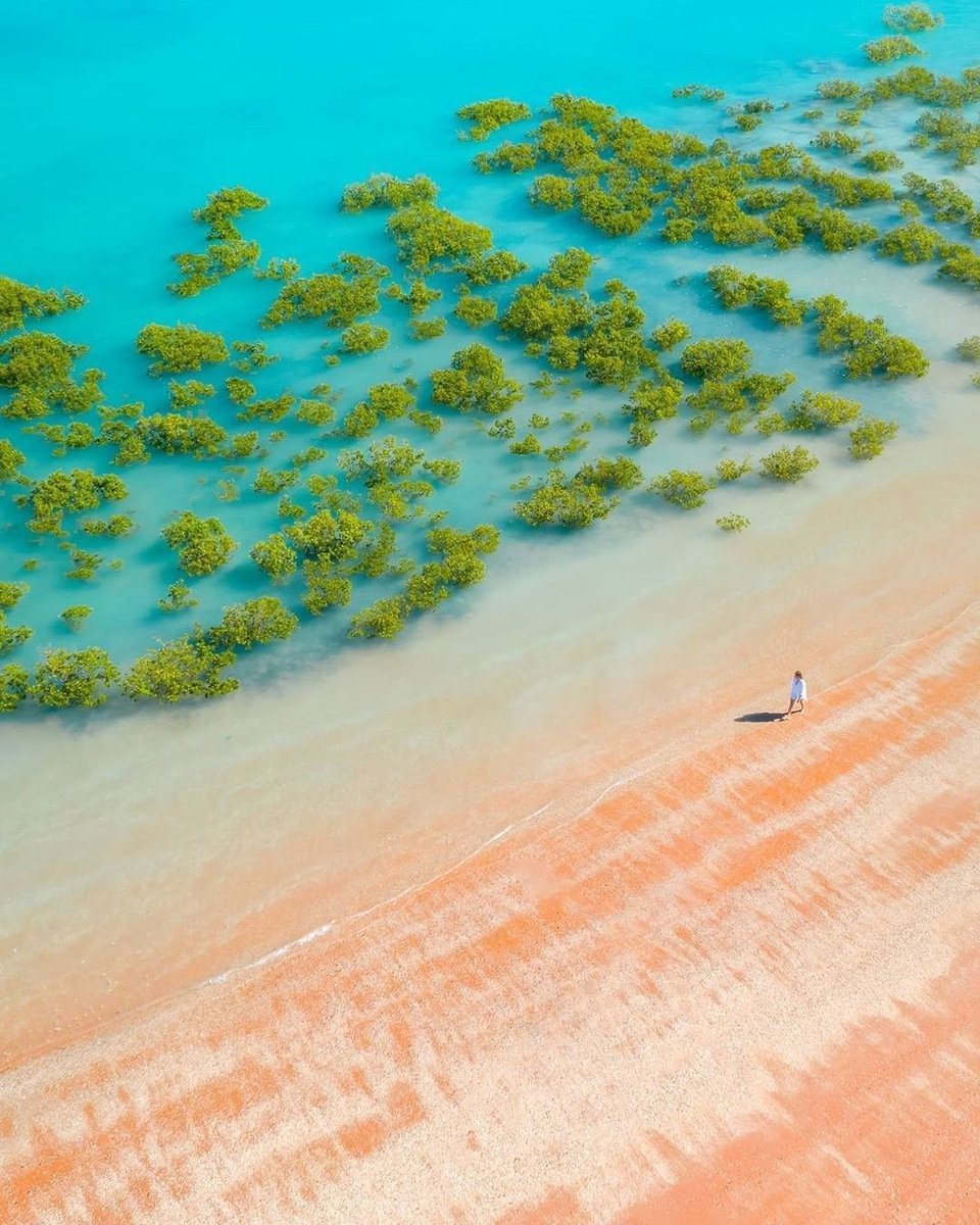 Incredible colours of Roebuck Bay, Broome, Australia 💙💚🧡 📸 sailor.jay
#roebuckbay #australia #broome #thekimberley #roebuckhunting #westernaustralia #yawuru #shorebirds #roebuck #lawson #kimberley #roebuckseason #roebucks #nature #declanchamberlain #emmachamberlainclips