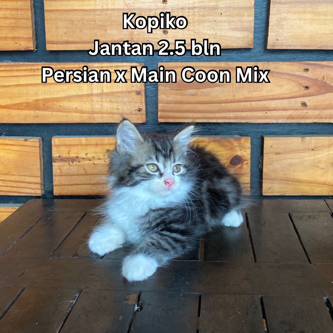 Zashika Ijes tweet media