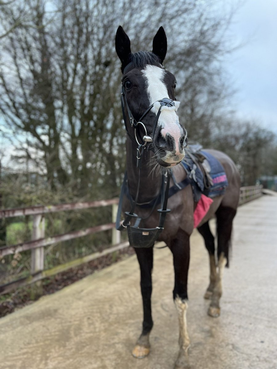 BethMcCabe's tweet image. Always nice when you get to have a spin on your favourite 🥰 #Punctuation