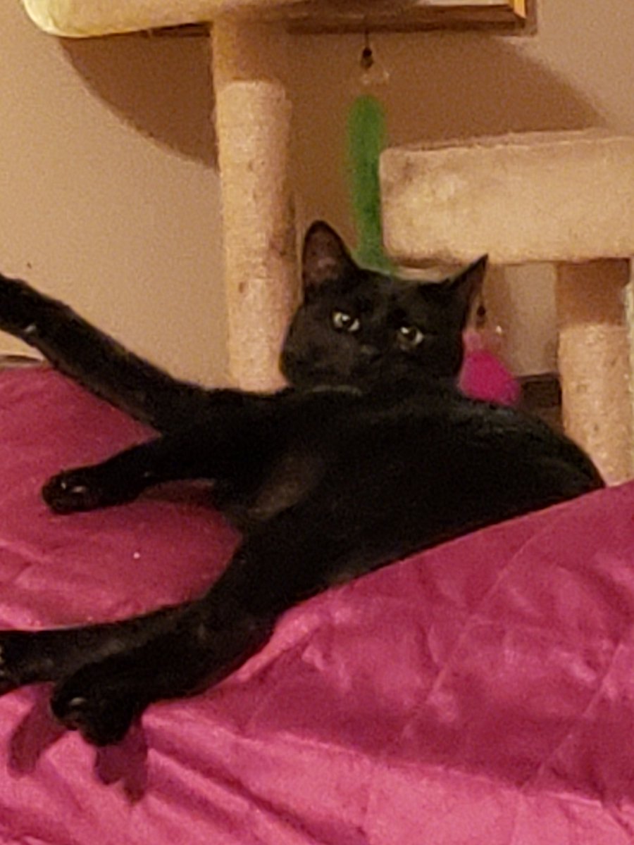 Lynn Johnson tweet media