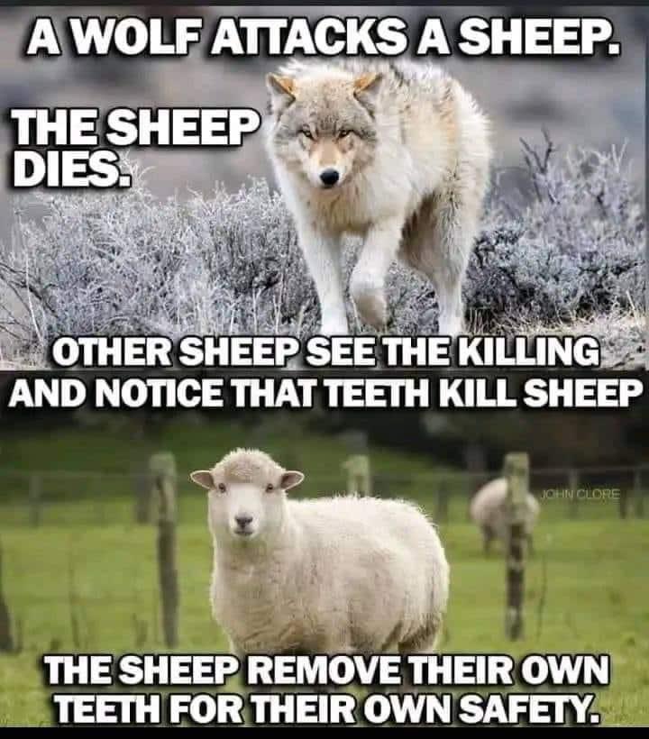TrudeauIsWacko's tweet photo. Gun control in a nut shell. Guns don't kill people...people kill people #2ndAmendment #commonsenser https://t.co/R4IEEN9AGF