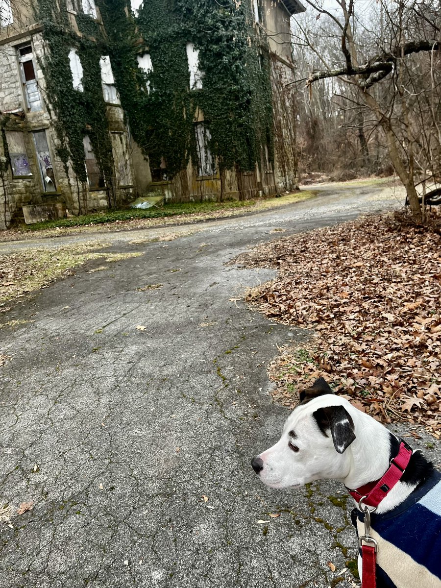 pecroghan's tweet photo. Pre snow walk with a surprise haiku
#HighBridgeNJ
@NJGov https://t.co/Vk4Dmu74Ox