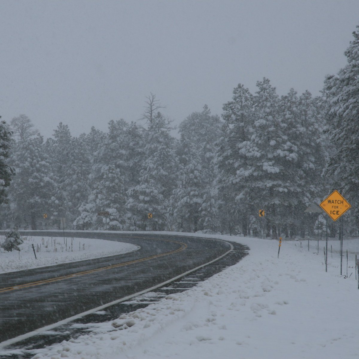 Throwback to a winter-inspired playlist we made a few years ago to help you get into the winter spirit and keep your eyes on the road during your high-country road trip. 🎧: bit.ly/41nm8sx Learn more about traveling during the winter at azdot.gov/KnowSnow.