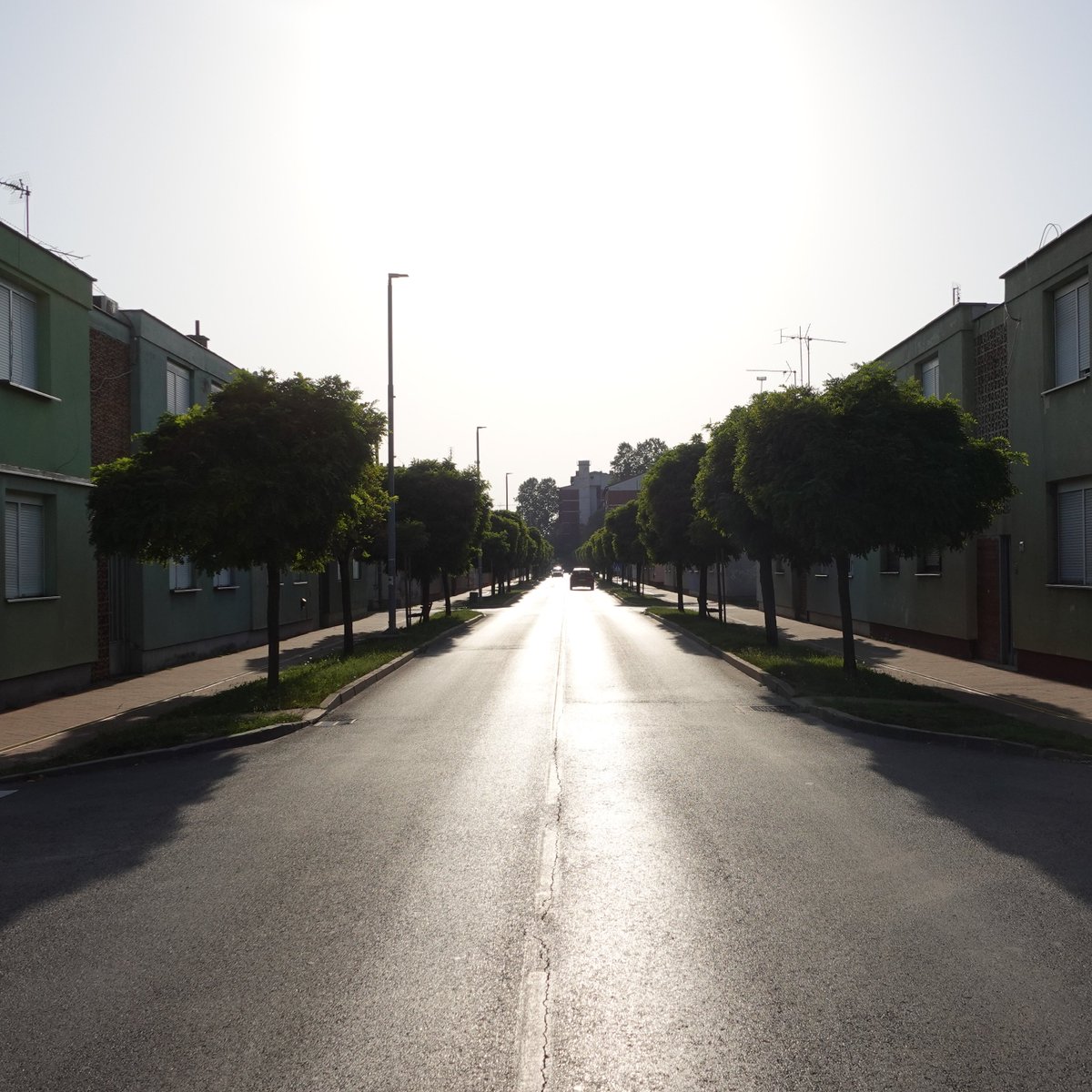 Ajit Niranjan tweet media