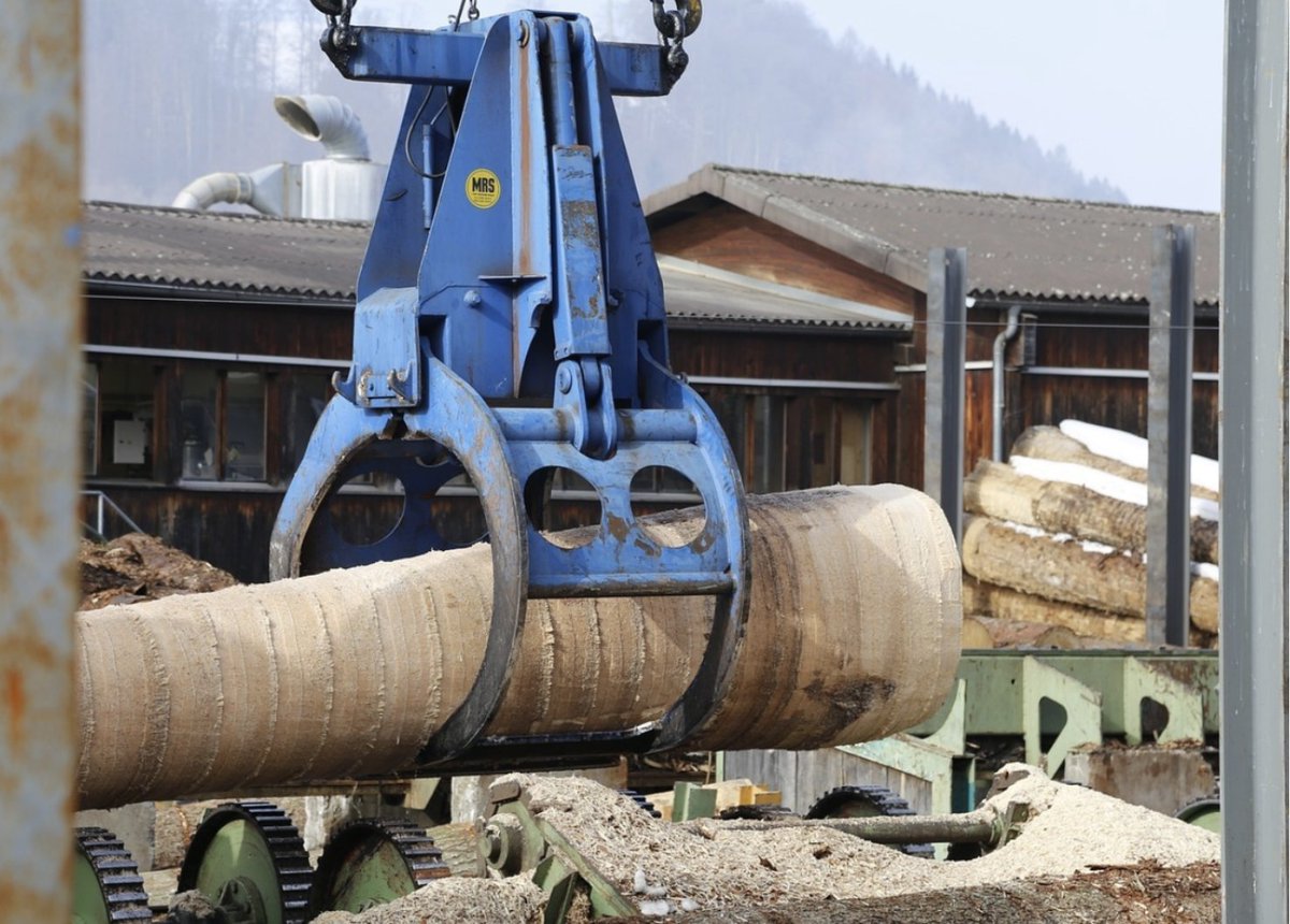 forest_network's tweet photo. Investigators for OSHA have recommended a fine of over $1.4 million for numerous safety violations related to the death of a 16-year-old boy after a Florence Hardwoods Mill accident in June.

Read more: https://t.co/u1PtebUtdk

#OSHA #FlorenceHardwoods #forestry https://t.co/MgviTryvcn