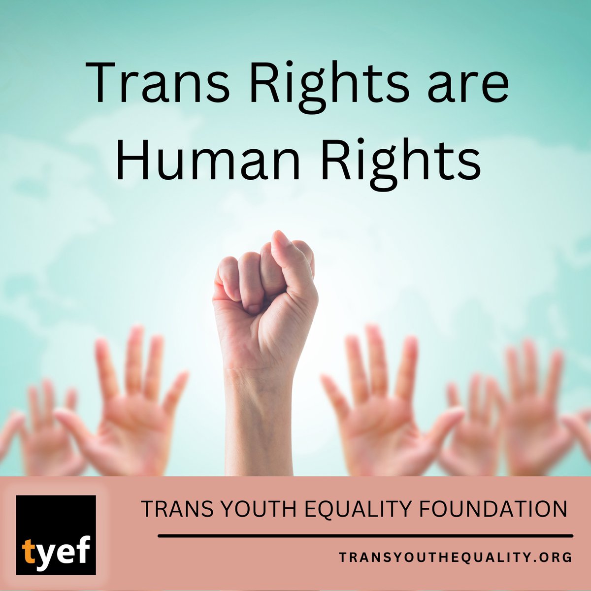 Trans Youth Equality (@tyefofficial) on Twitter photo 