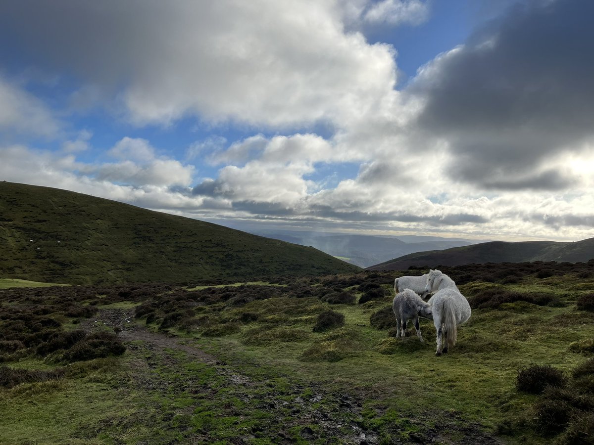 Sun in Shropshire! More please 2024. #shropshire #longmynd