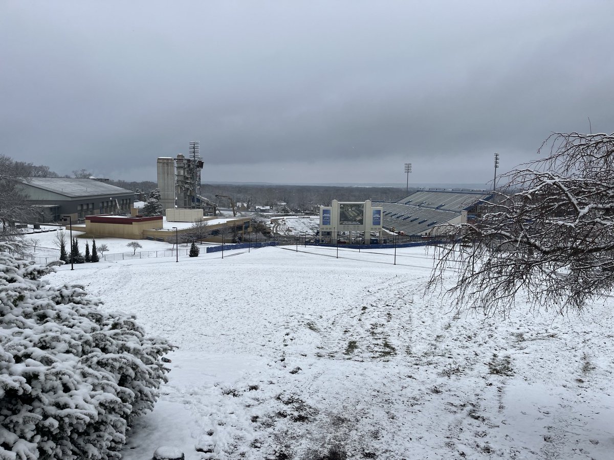 Mike Lickert tweet media