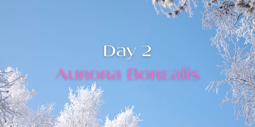 BTSWinterWeek's tweet photo. https://t.co/wNdpsygrc6