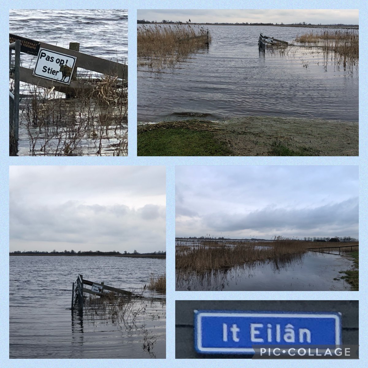 4 miljoen kubieke meter water… In de afgelopen dagen zijn in Fryslân 8 gebieden onder water gezet om water te bergen. Zoals retentiepolder Goëngahuizen (It Eilân). Even geen stier maar tijdelijk vooral veel water.